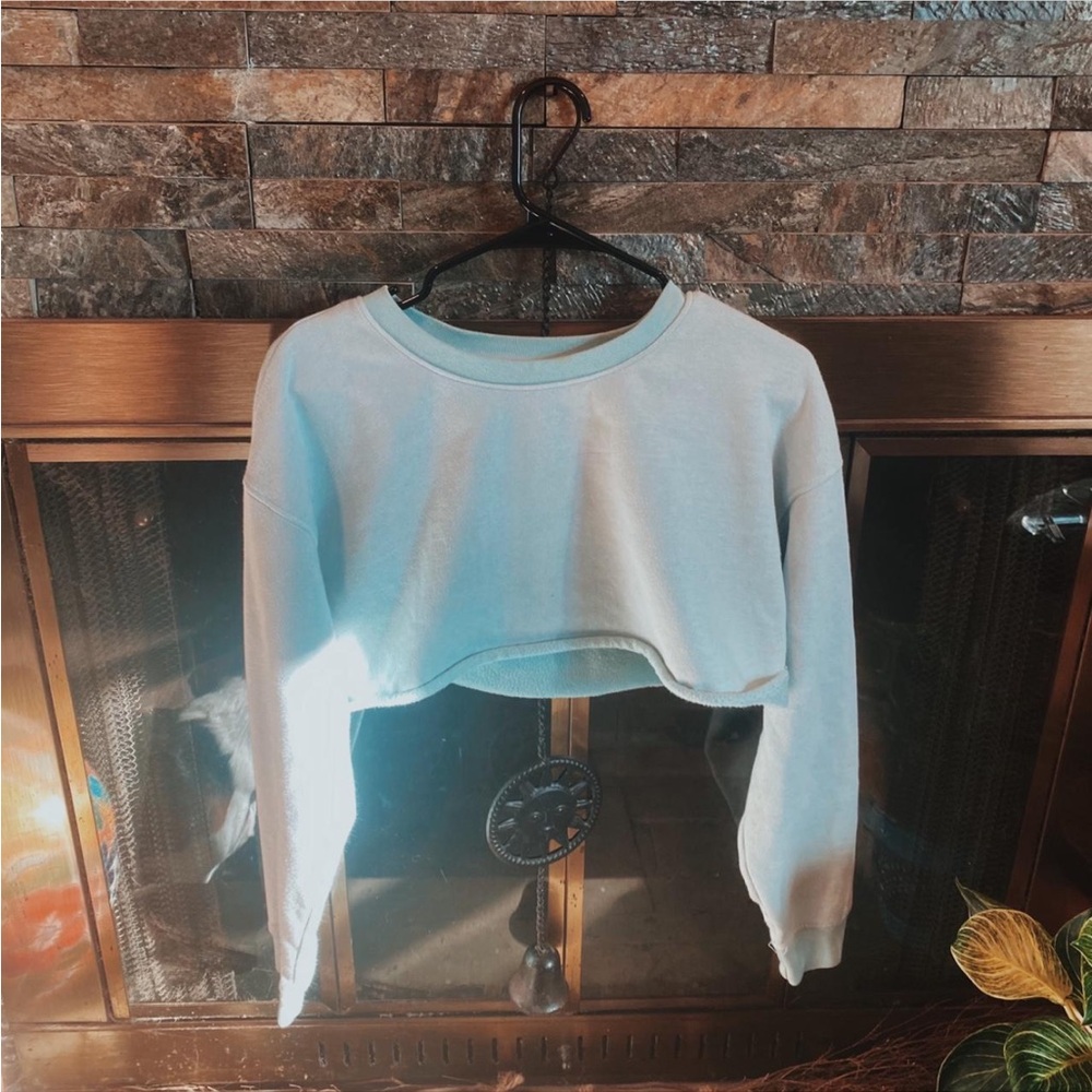 American Eagle Outfitters Blue Cropped Hoodie